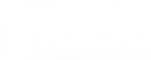 VIGO6-Offline-Logo